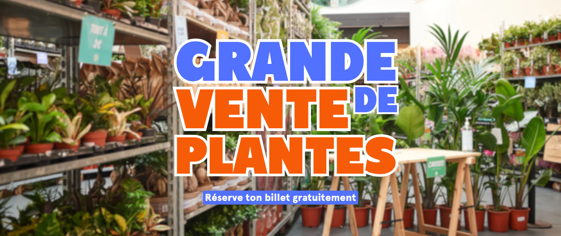 Welcome to Our Store